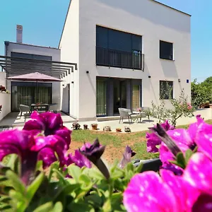 Papillon I Dolce Apartment
